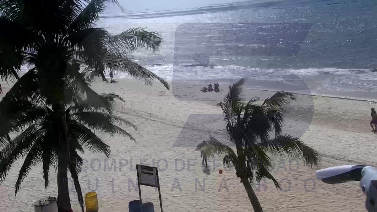 En el #CaribeMexicano tenemos las playas más hermosas. #NiTodosLosDíasNiEnTodasLasPlayas
Playa Hotel las Nubes, #Holbox
Playa Hotel Presidente InterContinental #Cancun
Playa #CostaMujeres 
Playa Fundadores #PlayaDelCarmen