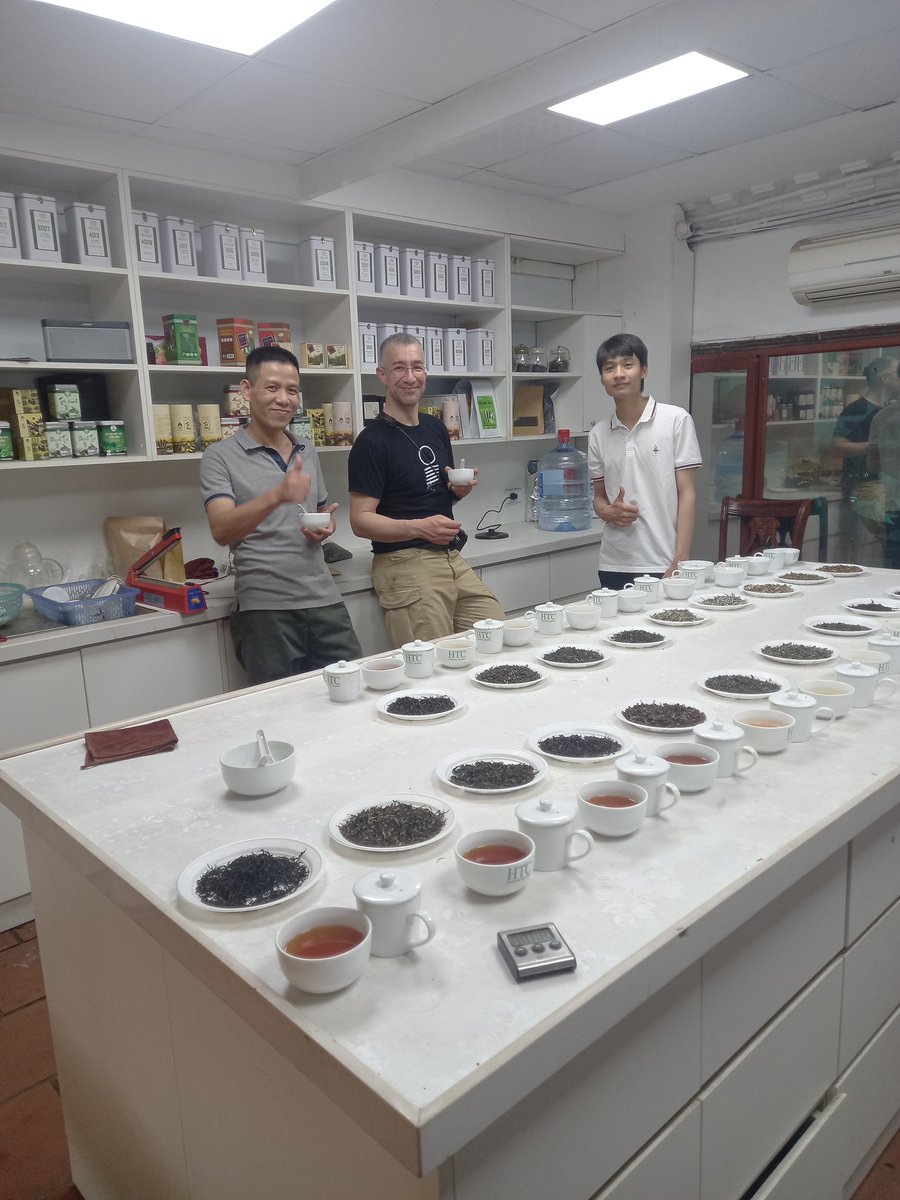 HelloTea4's tweet image. Connect to vietnam  Ancient tea i give to you test our samples