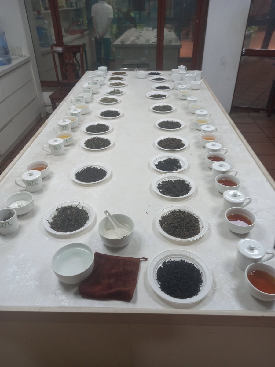 HelloTea4's tweet image. Connect to vietnam  Ancient tea i give to you test our samples