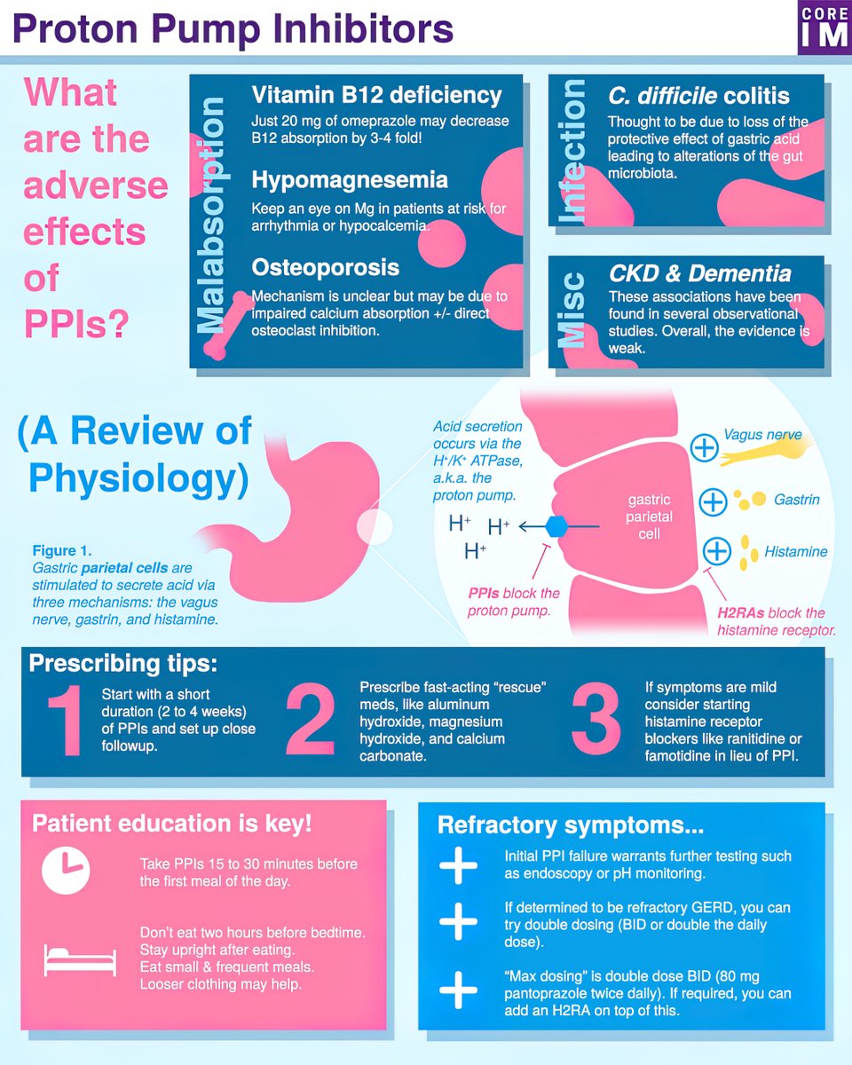 drkeithsiau's tweet photo. Top tips with PPIs 💊💡 #GITwitter #4KMedEd 

(Via @COREIMpodcast) https://t.co/vFWdwdLwOa