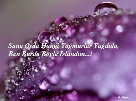 Üstüme gelsene Hayat ! Ne Canımı Yakacak Kudrete Sahipsin ! Ne Kanımı Akıtacak Bıçağa ! Yazılanı Kaderim Der Yaşar ; alnım Açık, Başım Dik Giderim.! Ben Yaradandan Ötürü, Seni bile Severim.! Elinden geleni Ardına Koyma HAYAT.! Ben Yine De Sana gülümserim...!
(ALINTI)
