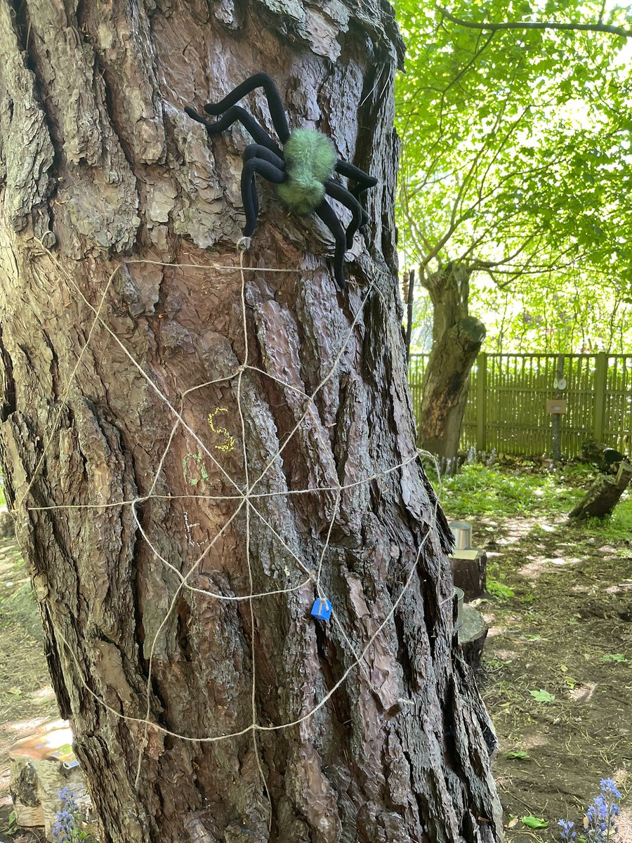 KarenMBoardman's tweet photo. Literacy and SSP outdoors 2  @EHU_FOE @FoEPhonics #CPD thinking about the principles of good SSP teaching. #ForestEdge https://t.co/RP3XPDdkLm
