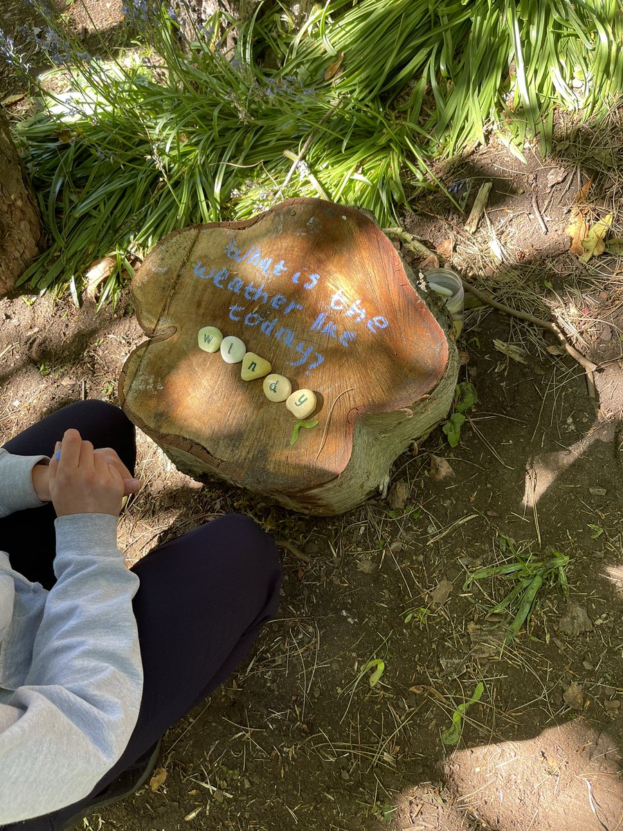 KarenMBoardman's tweet photo. Literacy and SSP outdoors 2  @EHU_FOE @FoEPhonics #CPD thinking about the principles of good SSP teaching. #ForestEdge https://t.co/RP3XPDdkLm