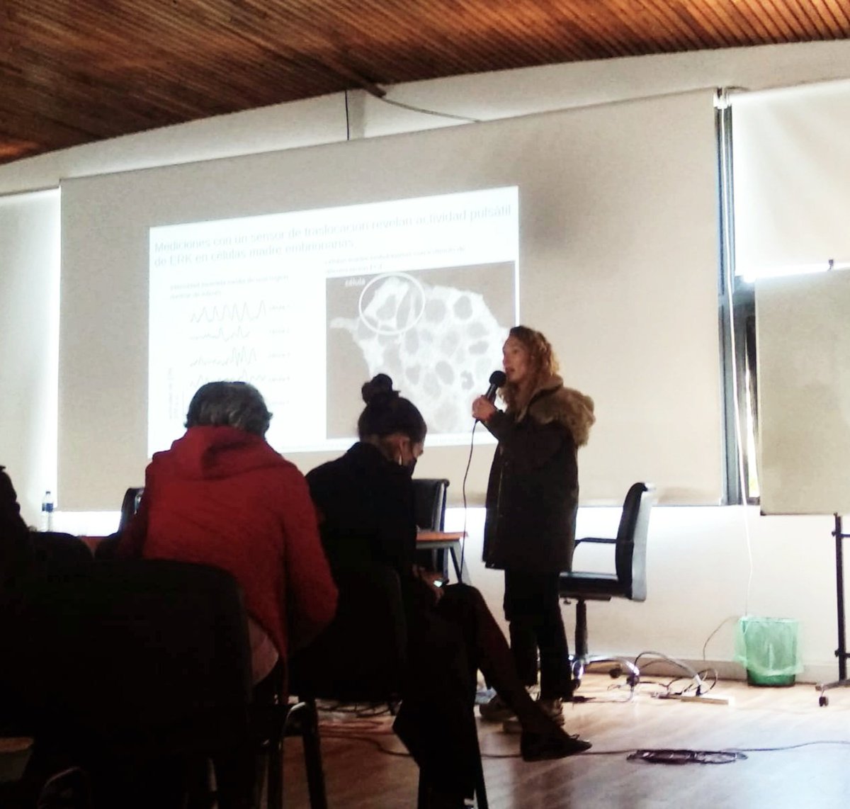 IBioBA_MPSP's tweet photo. Algunas fotos de @fabris_fiorella en plena acción dando su charla en el Congreso 2022 @TrefemacA https://t.co/njNicu2kA4
