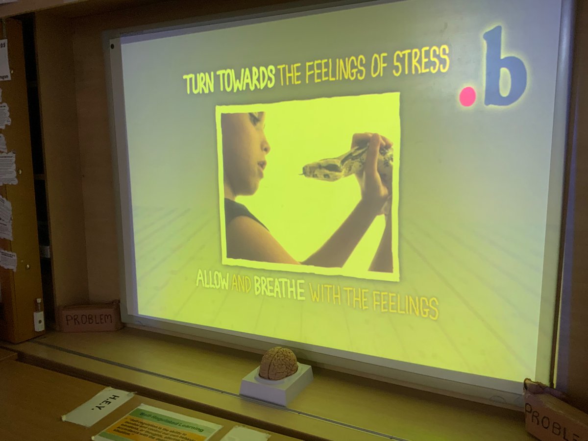 gerrydiamond71's tweet photo. Mindfulness sessions this week with our young people @clydebankhigh.“Managing Big Emotions”Teaching our pupils to understand stress,where it comes from and it’s harmful effects. Training ourselves how to respond rather than react.Explain fight,flight.Grounding /breathing practice https://t.co/0QmBvVgq7S