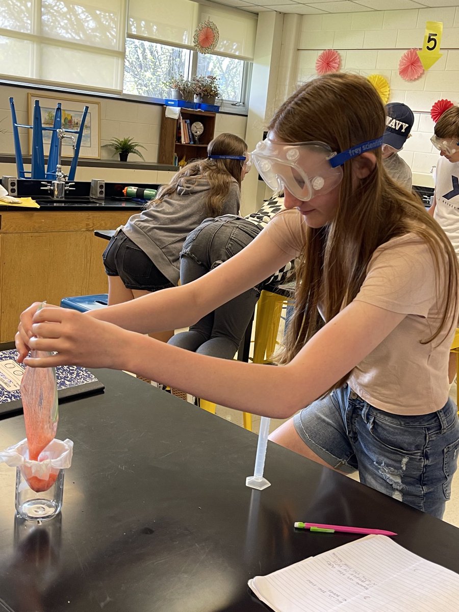 MrsMLombardo's tweet photo. ⁦⁦@BeachMiddle⁩ Ss extracting DNA from strawberries! https://t.co/0yeJPQGTG1