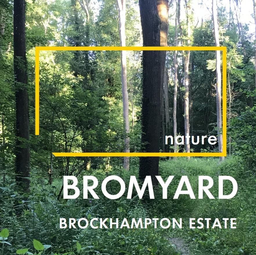 Destination Bromyard tweet media
