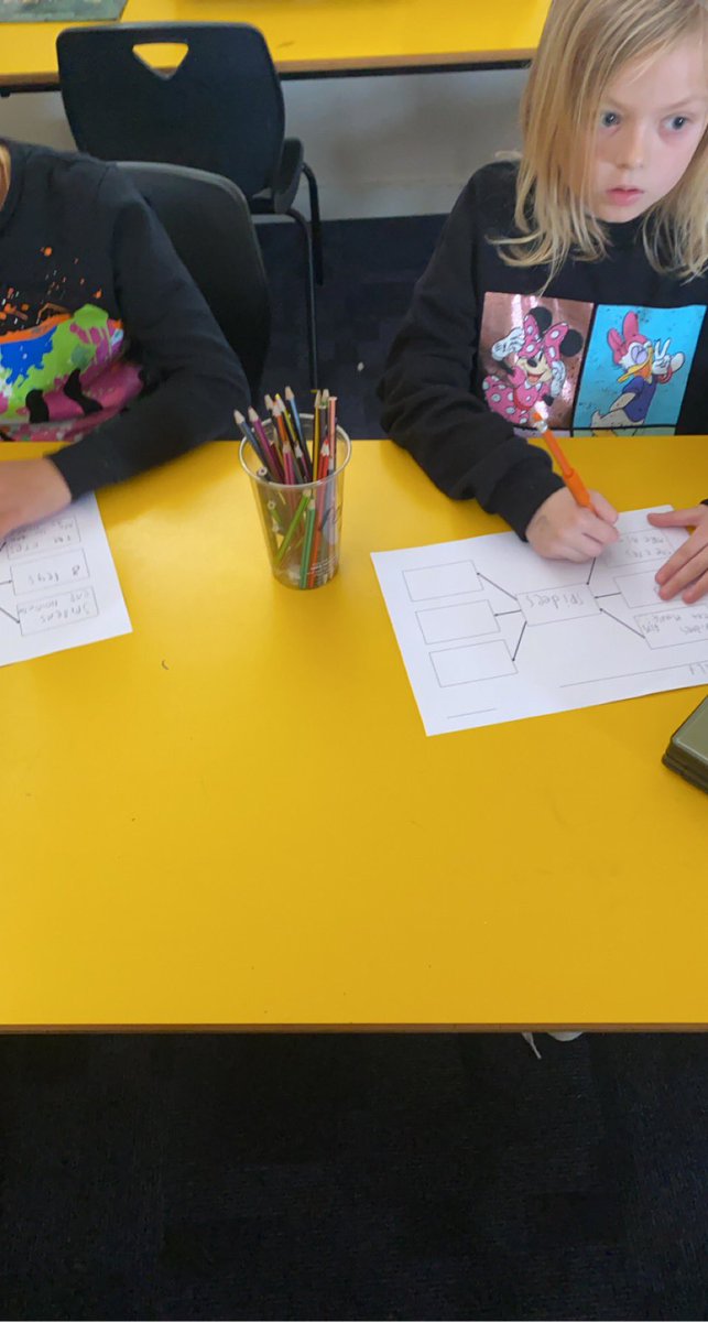 missskwps's tweet photo. We are learning to take notes using a factual video. Today we looked at a video about spiders and took notes on a mind map. We loved learning about the different facts even though we did have to look away when some big ones came on to the screen 😬 🕷 https://t.co/ClRNU4NjHb