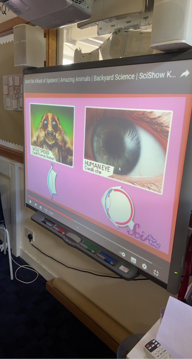 We are learning to take notes using a factual video. Today we looked at a video about spiders and took notes on a mind map. We loved learning about the different facts even though we did have to look away when some big ones came on to the screen 😬 🕷
