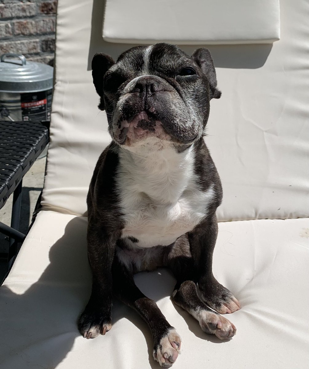 13 years old today!!!