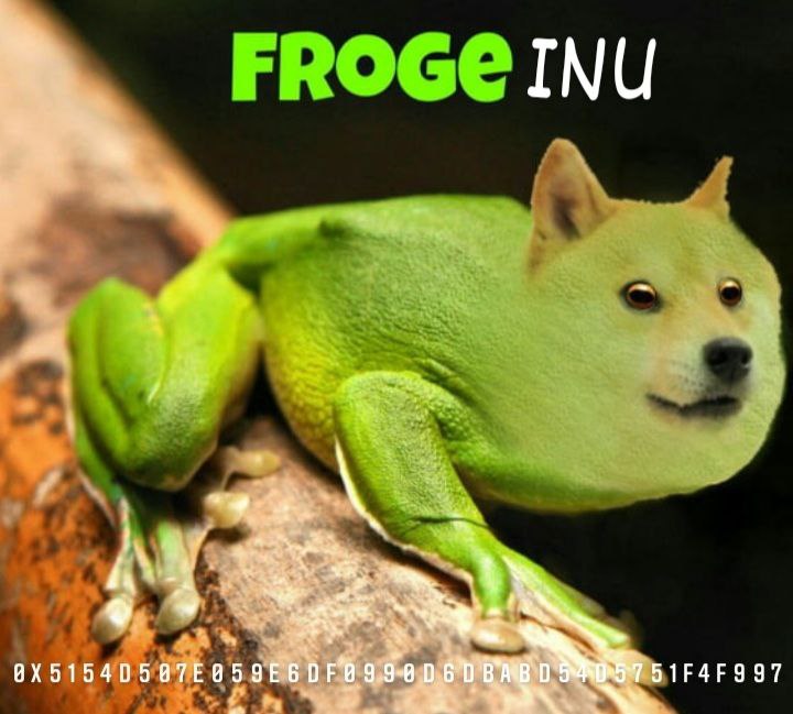 mavajenko's tweet photo. @1goonrich 🍀🐸📞💎FROGE INU🐸📞💎🍀
🍀Next Memecoin  Community token🍀
🍀Twittter: https://t.co/NMbDlq2WTW
🍀Website: https://t.co/D4n43FhM2B
🔥Tax: 1% Liquidity 2% Reflections
😎Chart: https://t.co/T8IYA4Knrf
Contract: 0x5154d507E059E6DF0990d6dBaBD54D5751F4f997
#memecoin #FrogeArmy https://t.co/sTjpLczxim