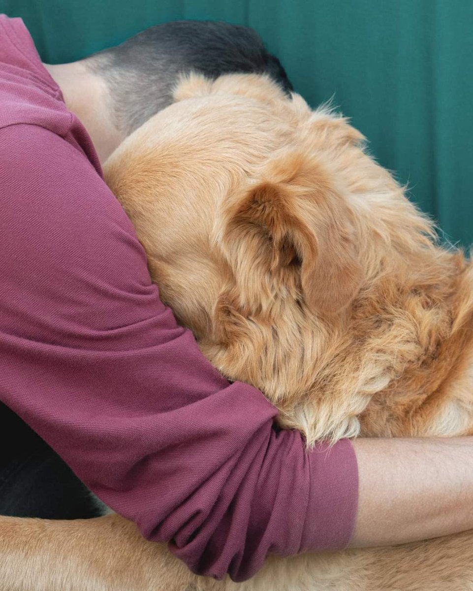 4sqEgypt's tweet photo. The friendship is Fur-real!! 🐕‍🦺
Give a Big Hug to #Egypt 1'st 🐕 #Pet Cafe 🦴 Now In Zayed
https://t.co/rox2xBP2am https://t.co/JcI0NWBzXJ
