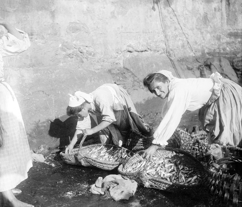 "Santurtziko sardina-saltzaileek arraina hautatzen dute saltzeko."

📸 Eulalia Abaitua Allende - Salazar, circa 1900. @museo_vasco - ren bidez.