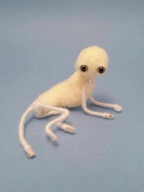 cater_pee's tweet photo. what would u name him https://t.co/8BtuuAL1J4