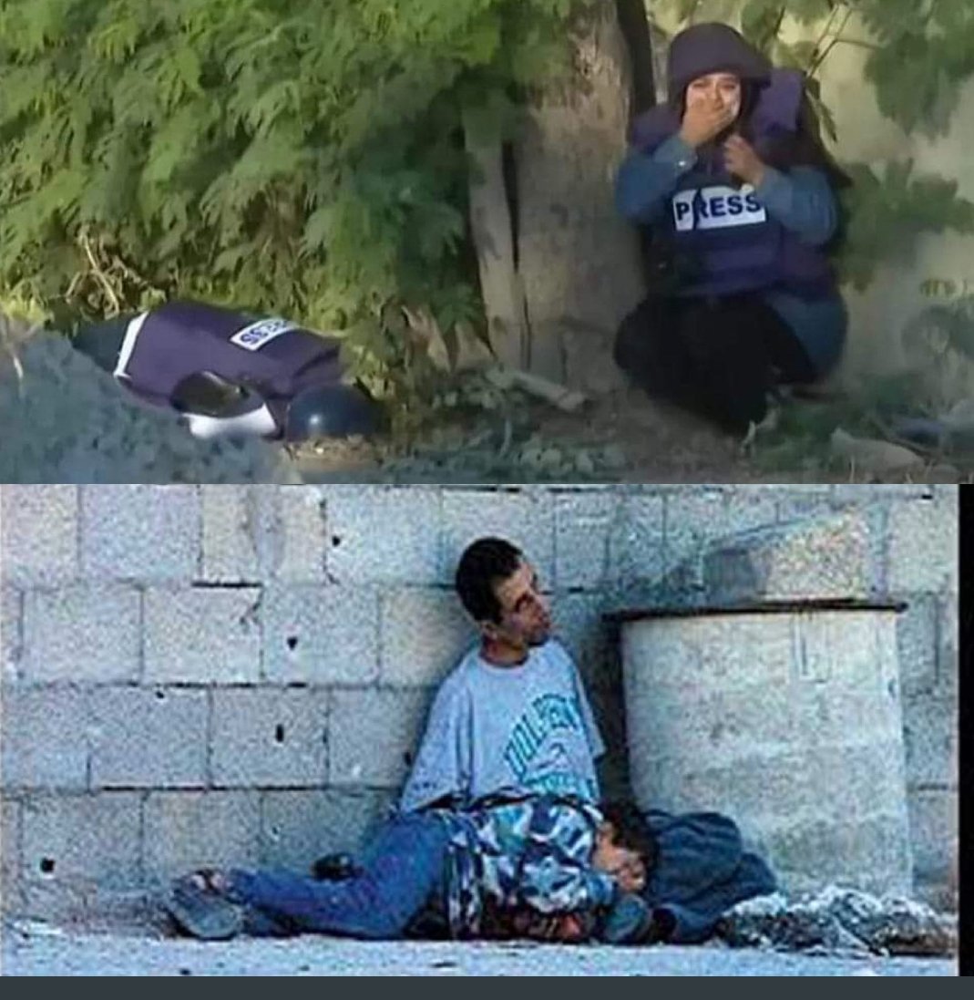 AnibalGarzon's tweet photo. La doble moral. Sancionan a Rusia para no participar en #Eurovision pero participará Israel pese a sus crímenes de Lesa Humanidad #ShireenAbuAkleh https://t.co/rEGDVdrV9e