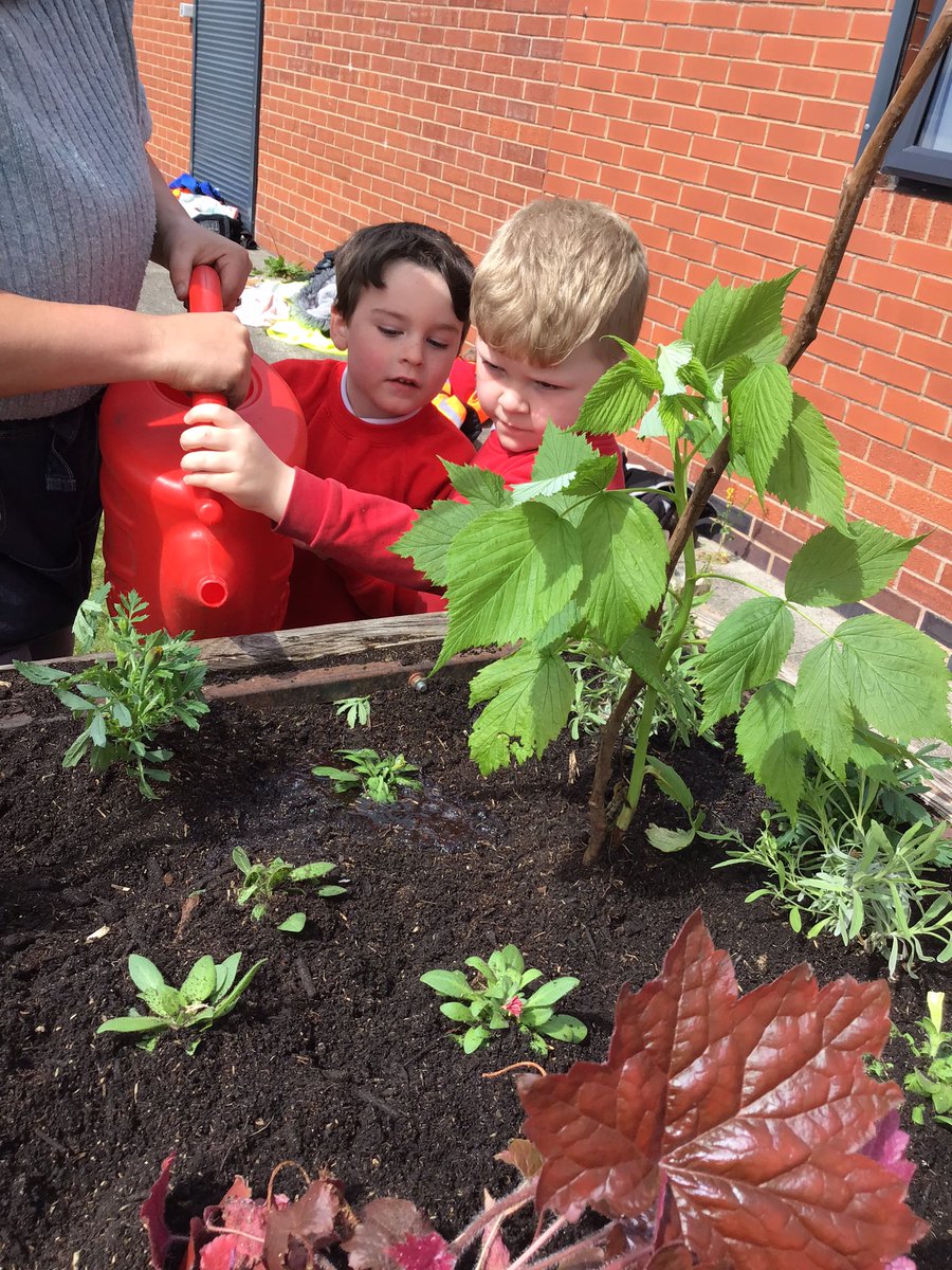 GPSOak's tweet photo. Today we learned a new gardening technique called ‘no dig’ gardening which is better for wildlife that lives in your garden. We planted up all the beds with flowering plants, fruits and vegetables and it looks amazing! @gillhead25 @Gillibrand_Sch @JigsawHG @jigsawhomes https://t.co/HQZ2qJDBrj