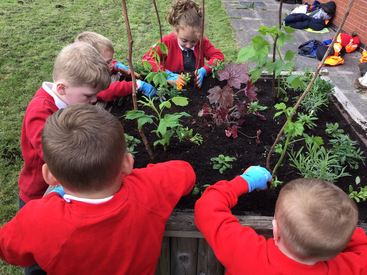 GPSOak's tweet photo. Today we learned a new gardening technique called ‘no dig’ gardening which is better for wildlife that lives in your garden. We planted up all the beds with flowering plants, fruits and vegetables and it looks amazing! @gillhead25 @Gillibrand_Sch @JigsawHG @jigsawhomes https://t.co/HQZ2qJDBrj