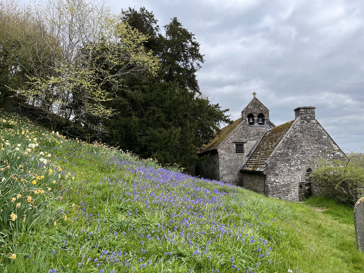 Barb_Drummond's tweet photo. #HillsideHumpday #Patrishow #bluebells https://t.co/DvBCh93IrW
