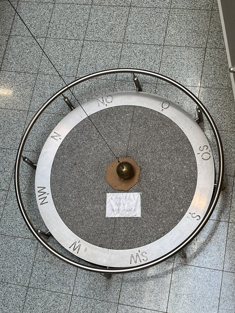 Maria Navarro Girbés tweet media