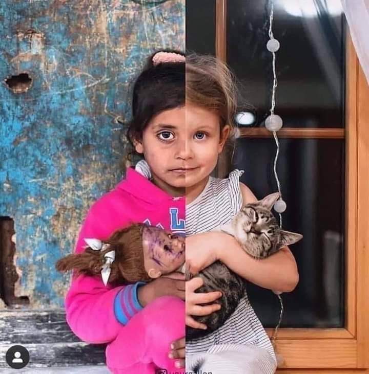 المہندس_أحمد아메드 tweet media