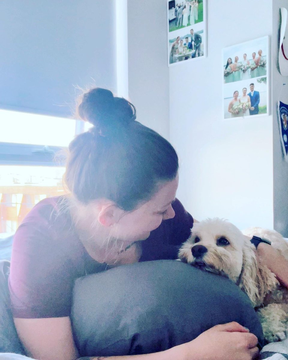 ambrose_13's tweet photo. There’s no better place for cuddles than our @endy mattress! Thankful to be able to relax with Henry on a Canadian made mattress thanks to  @endy 

Be sure to check them out and stay tuned for an upcoming sale 👀 

https://t.co/sTVkbxwGmA

#endypartner #ad #giftedproduct https://t.co/rj6GeyF1uO