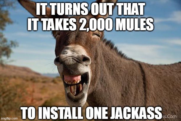 arizona_jack8's tweet photo. What’s up @GeneralBrnovich ?

Did you know that putting America First means arresting hired mules for interrogation to find out who feeds them?

Time is now running out for you Brno……..you need to see the light coming through the PRISM.

#2000Mules #ByeByeBrandon #PingsDontLie https://t.co/KHpoEzIino