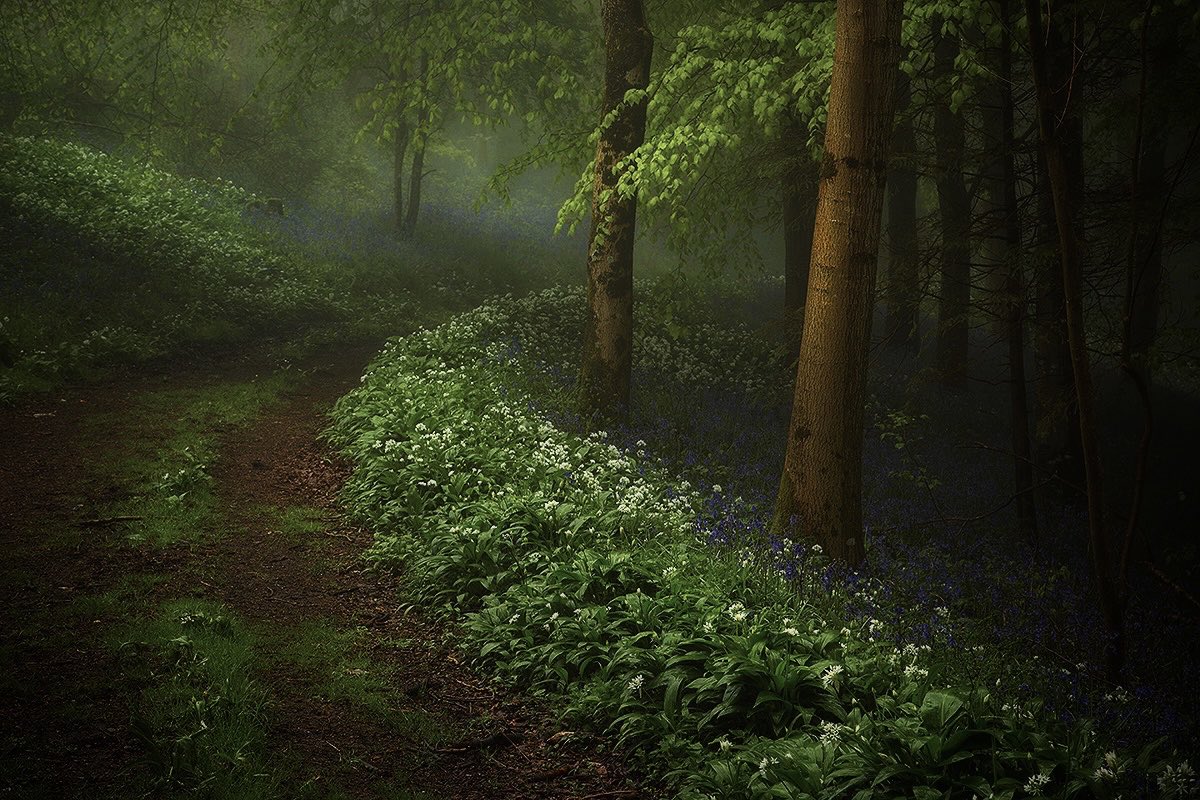 Spring, Dorset.

#dorset