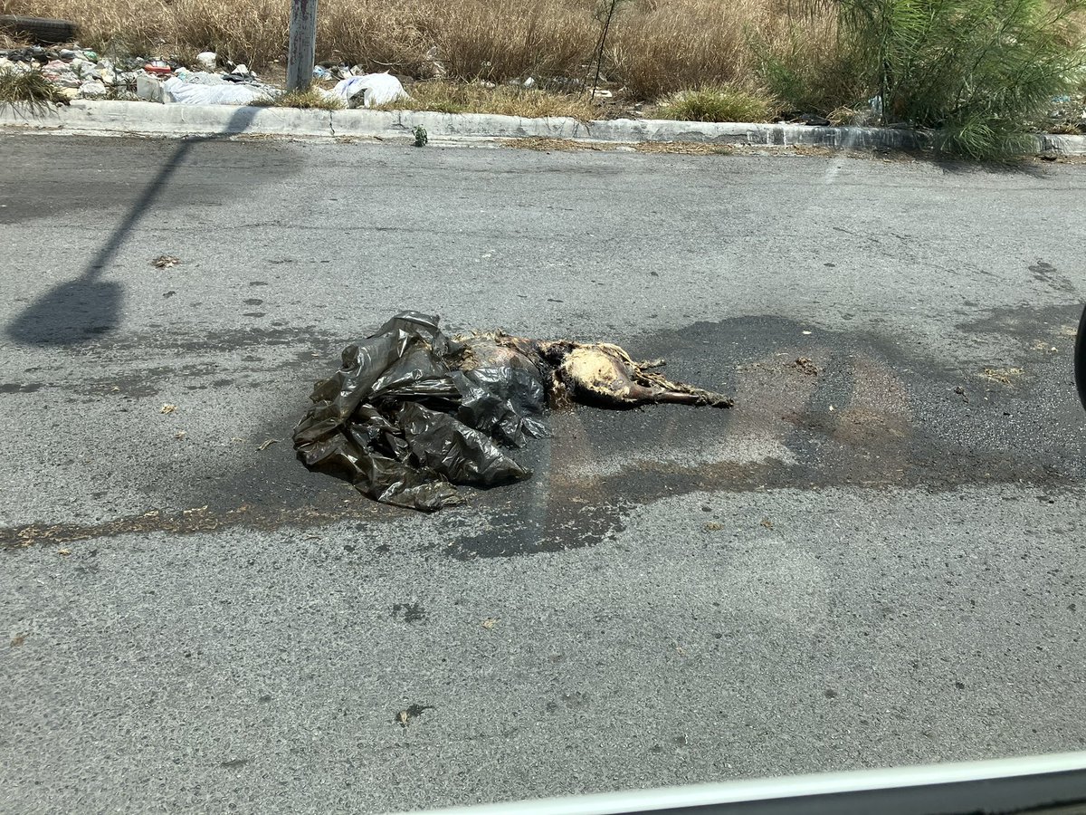 shany_mtz's tweet photo. @Cicmty @ServPublicosMty @_LASNOTICIASMTY https://t.co/7FMTtqN3SI