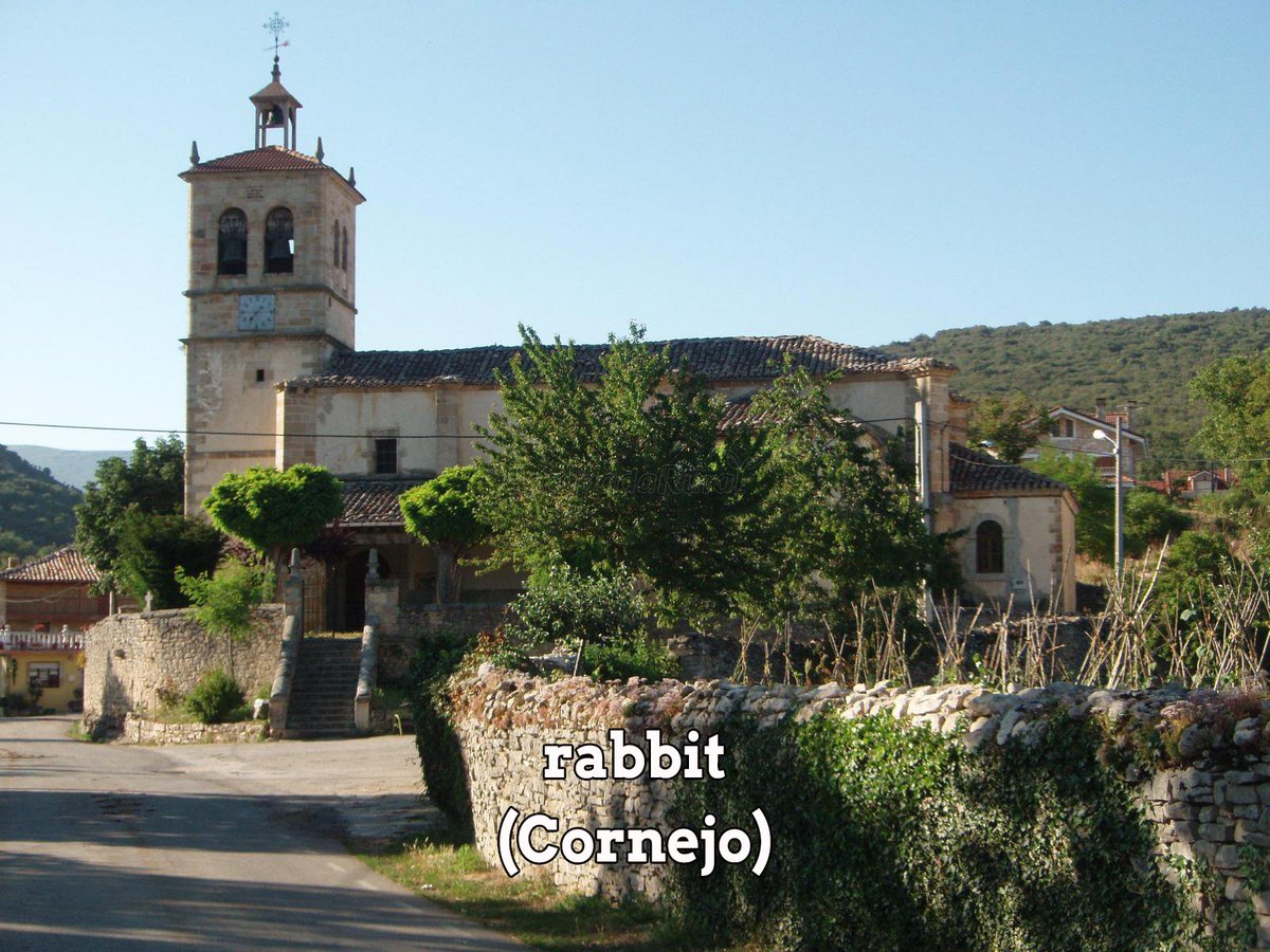 borjbrnda's tweet photo. @amedianocheespi https://t.co/72VJxTcWqh