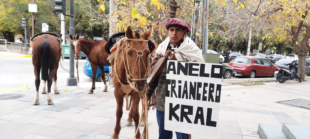 darortn's tweet photo. Un criancero de Añelo llegó hoy a caballo a Neuquén para reclamar en Casa de Gobierno. Asegura que una empresa privada le usurpó sus tierras. https://t.co/BDNb9zmRBJ