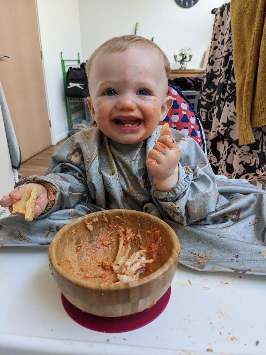 HBerant's tweet photo. I think someone enjoyed their dinner 😋 https://t.co/iYCaigtQji