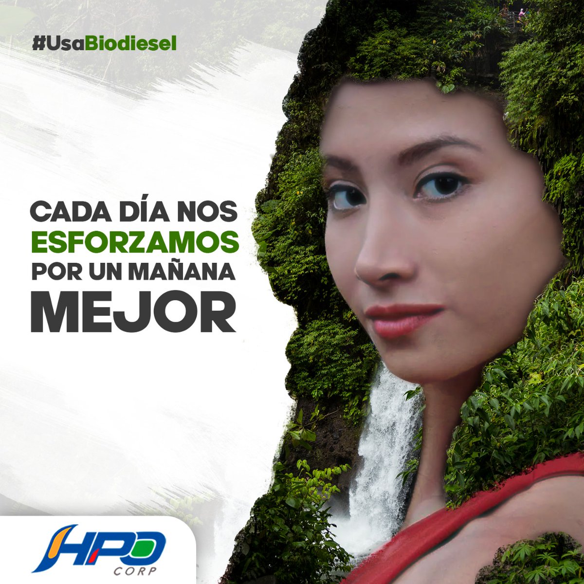 HPO Corp tweet media