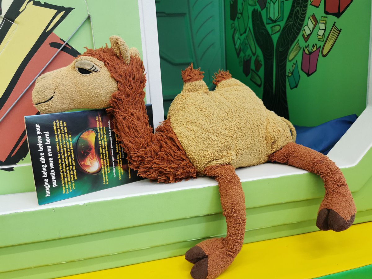 fingallibraries's tweet photo. This lonely camel is waiting in Malahide Library for his friend to come back and collect him. 

You will find him hanging-around at the library desk 🐫

#Malahidelibrary #LeapIntoLibraries #MalahideCommunity https://t.co/UoVwAD3NKU