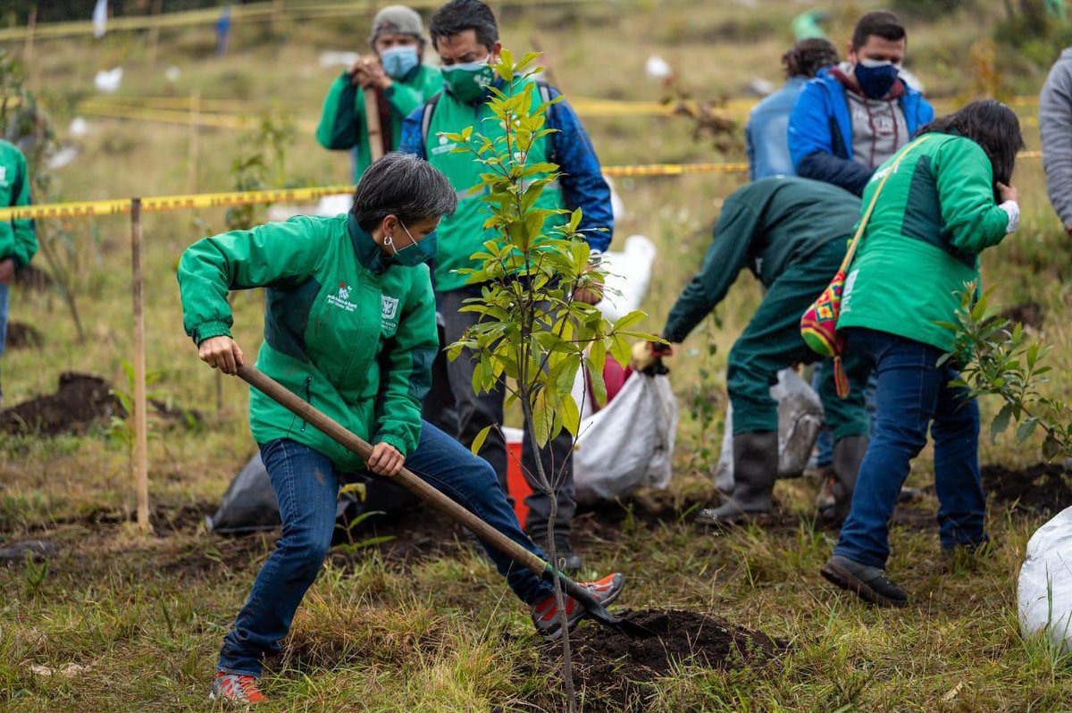 Ambientebogota's tweet photo. Desde 2020 y hasta abril de 2022, en predios de la @UAESP en Mochuelo, se han sembrado 68.408 árboles 🌳 para garantizar la recuperación y restauración ecológica de la zona, y mitigar el impacto socioambiental, como compensación por la operación de Doña Juana. #LaBasuraNoEsBasura https://t.co/rRuD8uNRVo