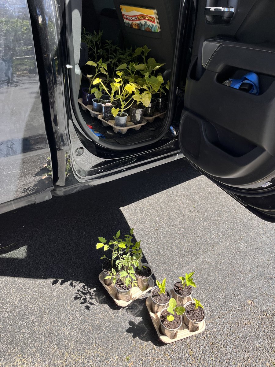 We went to a big box store and saw you people are paying $8-$12 for single plants that look half dead. You are planting a garden to feed healthy food to your family. Who do you trust to get great starts, corporate chains or your local farmer?

$2 a plant, 8 for $15 and 12 for $22