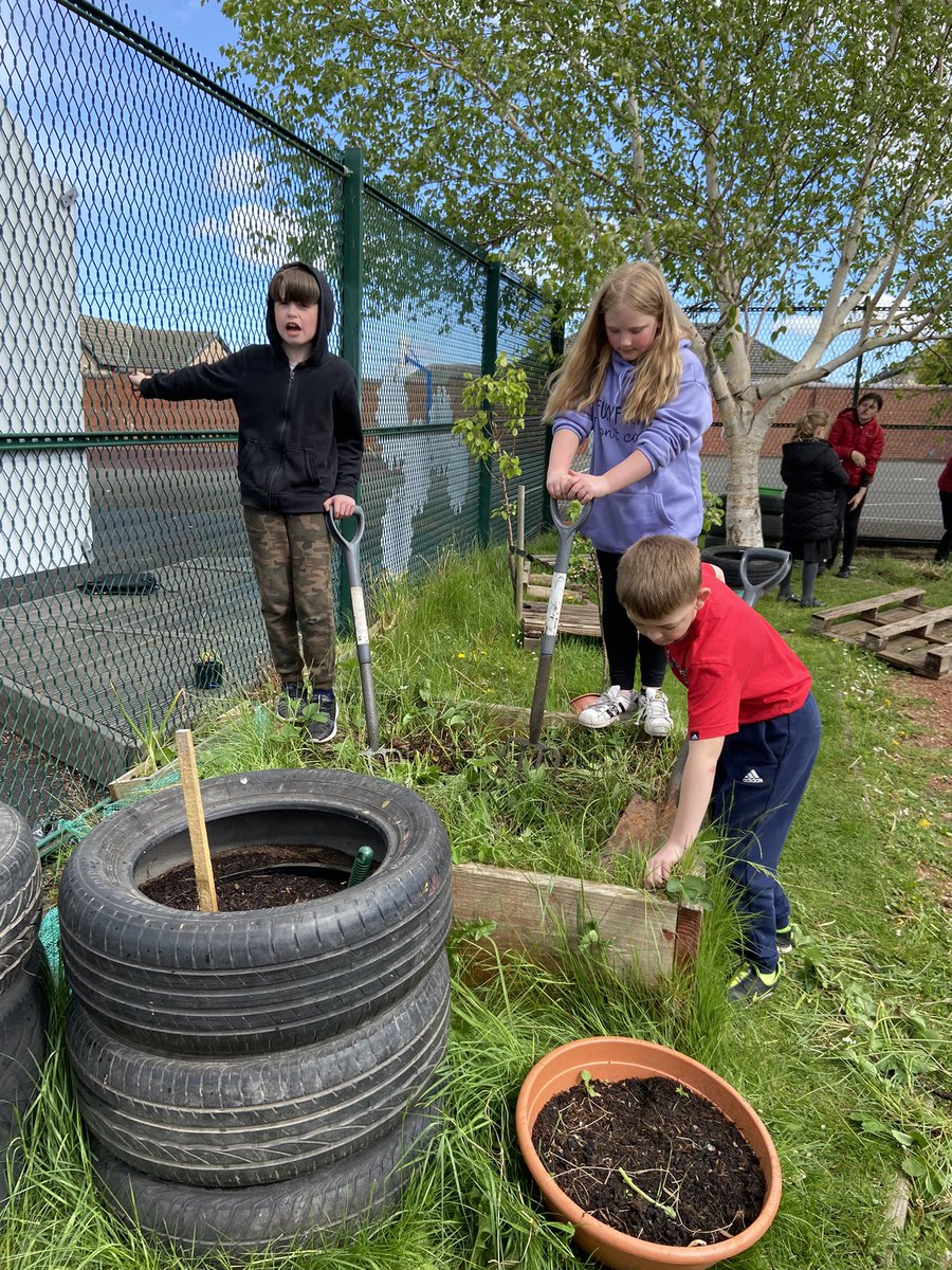 More hard work at Eco Club this week. We have been given lots of veg seeds, so we set about clearing this bed to give us more growing space. We have the right to healthy food!🥕 🥦 😀 #growyourown #carmuirsrights