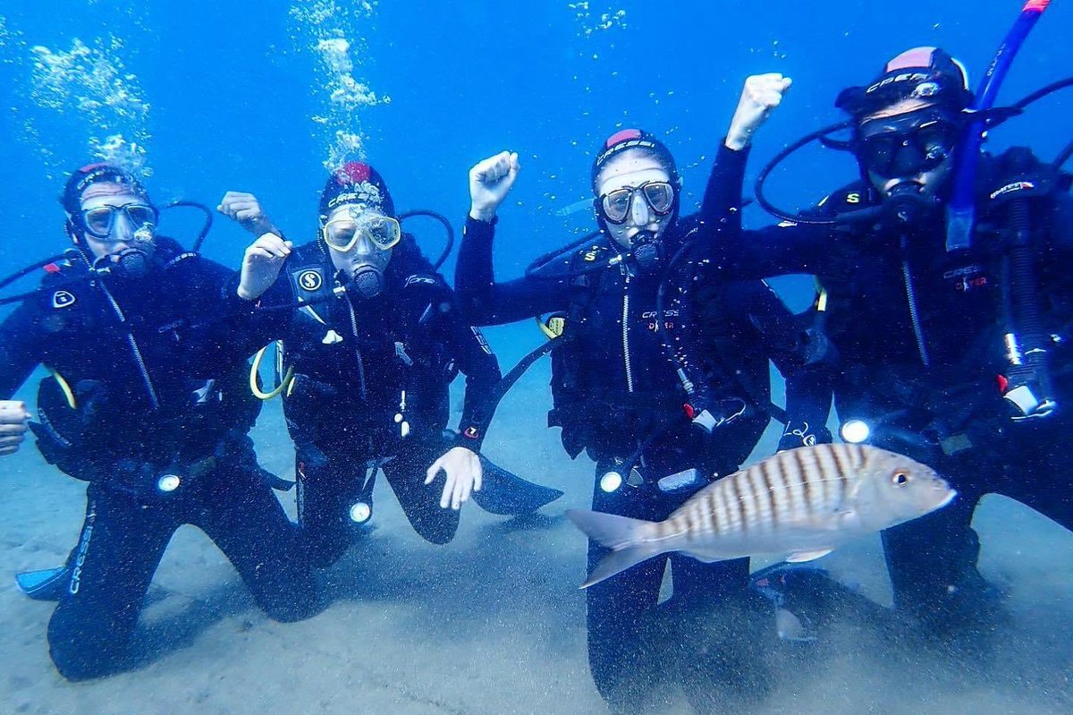 🤿 Scuba Adventures🤿 

It’s amazing to see the incredible wildlife of the sea around the Canary Islands. We have scuba activities from all the islands, book now on the VayCay App!

Every day is fun day with VayCay 🏝 
.
.
.
#scubadive #scuba #tenerife #grancanaria #Fuerteventura