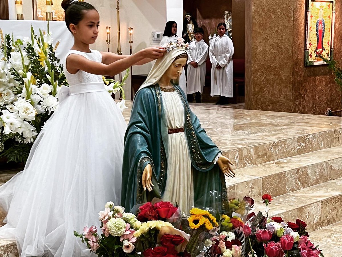 All Saints Catholic tweet media