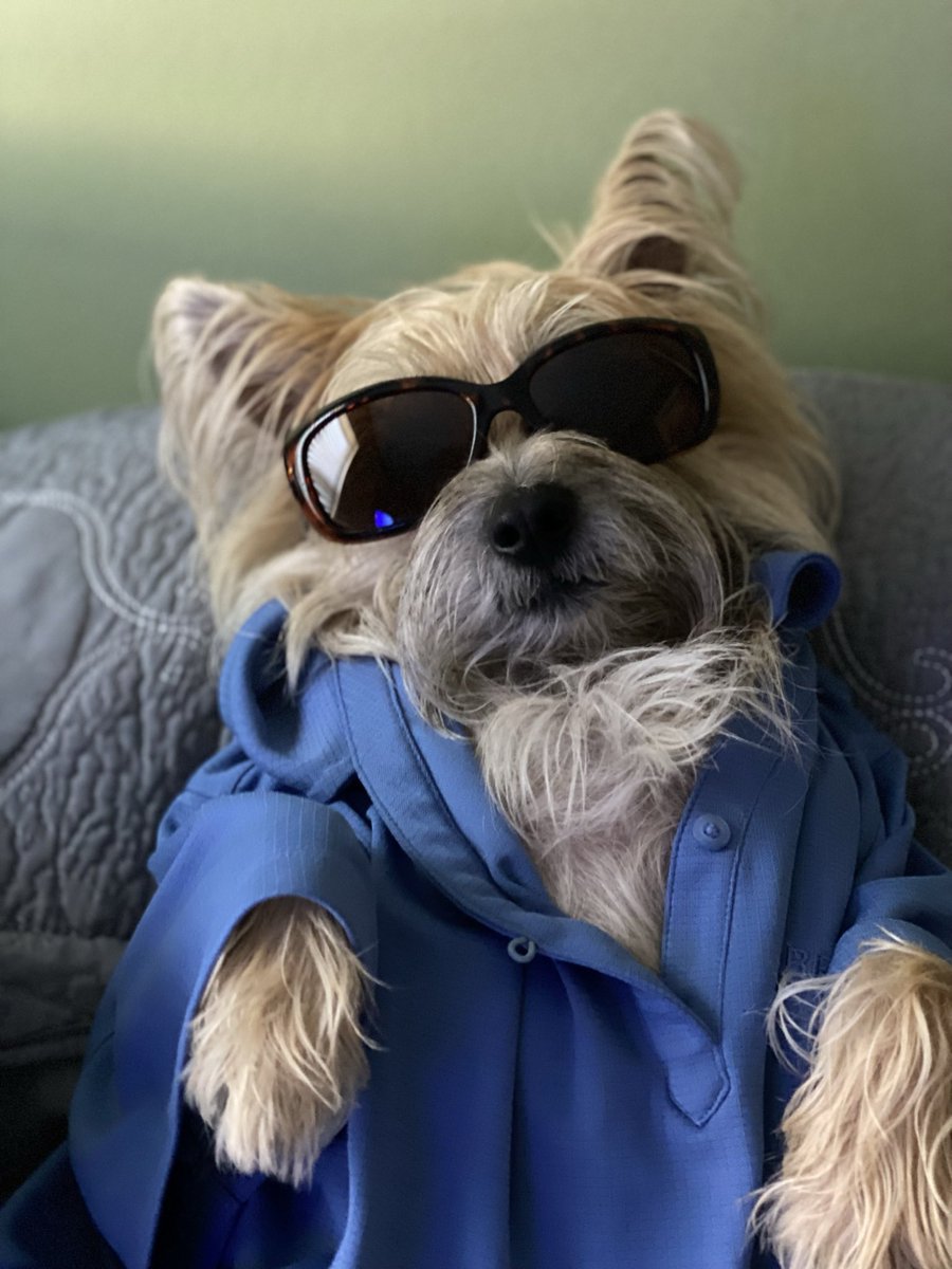 Karen Anderson tweet media