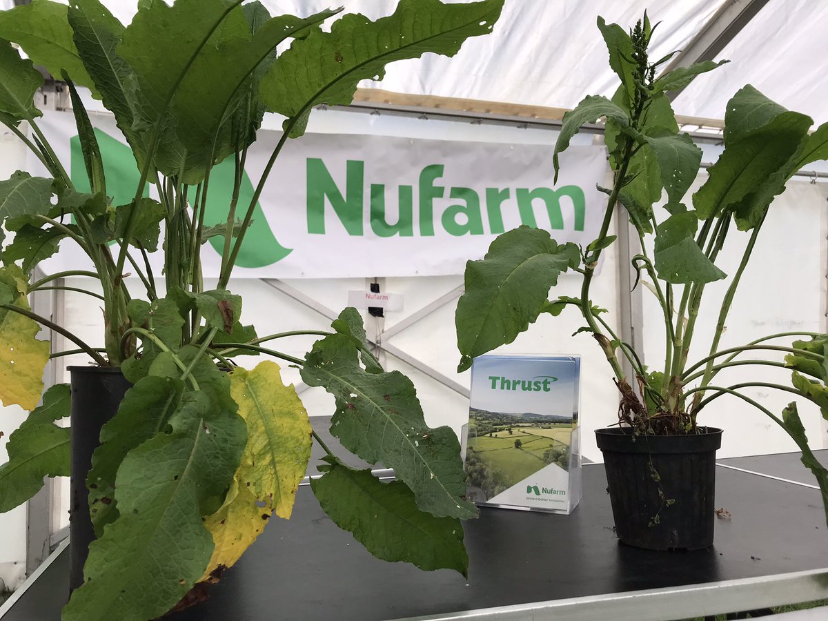 See you at The Royal Welsh Grassland Event <a href="/NufarmUK/">Nufarm UK & Ireland</a>