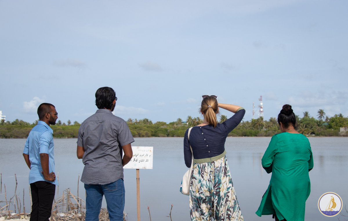 kcitycouncil's tweet photo. As part of the ongoing visit to Kulhudhuffushi City, the team of Canadian High Commission visited Kulhudhuffushi mangroves. 

Youth led environmental movement group, @BeLeafMv guided the team through the remaining area of the mangroves.

@CanHCSriLanka https://t.co/be3KV1WZcA