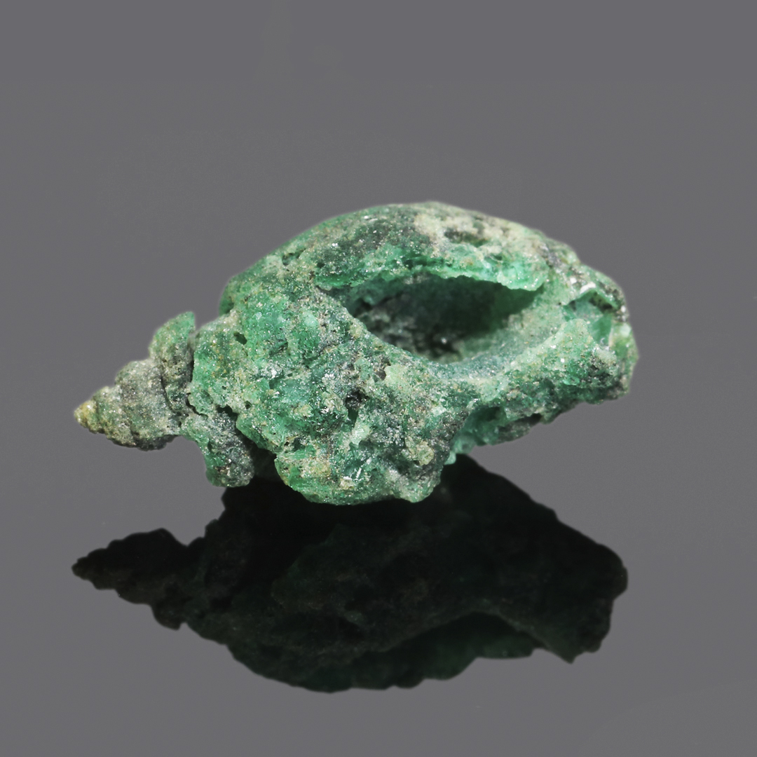 GIAnews's tweet photo. May's birthstone for ocean lovers. Last year, the GIA Hong Kong laboratory received 11 fossilized shells all composed primarily of emerald. Upon further examination, GIA scientists found the emerald to be Colombian in origin. Learn more: https://t.co/Hy994cjZWj https://t.co/8dSOkmqHvR