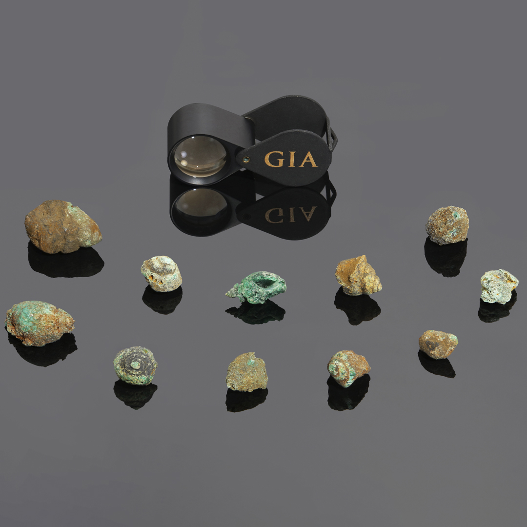 GIAnews's tweet photo. May's birthstone for ocean lovers. Last year, the GIA Hong Kong laboratory received 11 fossilized shells all composed primarily of emerald. Upon further examination, GIA scientists found the emerald to be Colombian in origin. Learn more: https://t.co/Hy994cjZWj https://t.co/8dSOkmqHvR