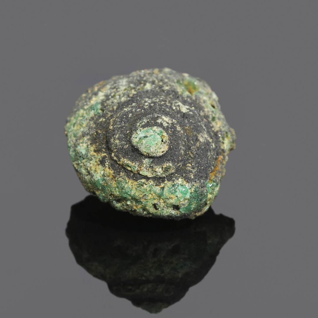 GIAnews's tweet photo. May's birthstone for ocean lovers. Last year, the GIA Hong Kong laboratory received 11 fossilized shells all composed primarily of emerald. Upon further examination, GIA scientists found the emerald to be Colombian in origin. Learn more: https://t.co/Hy994cjZWj https://t.co/8dSOkmqHvR