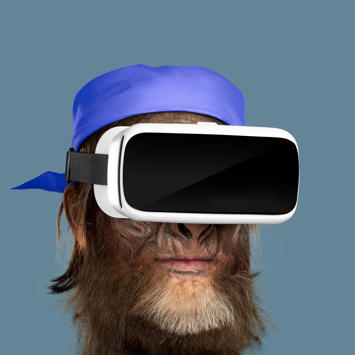 APE AUCTION

As always, the auction will last for 48 hours, at the end of which we'll organize a private sale for the winner! 

The ape: opensea.io/assets/0x495f9…

Place your bids under the next tweet! The starting bid is 0.1 $ETH