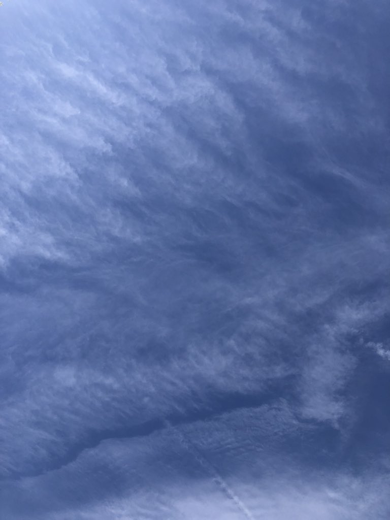 HASHAHOLIC tweet media