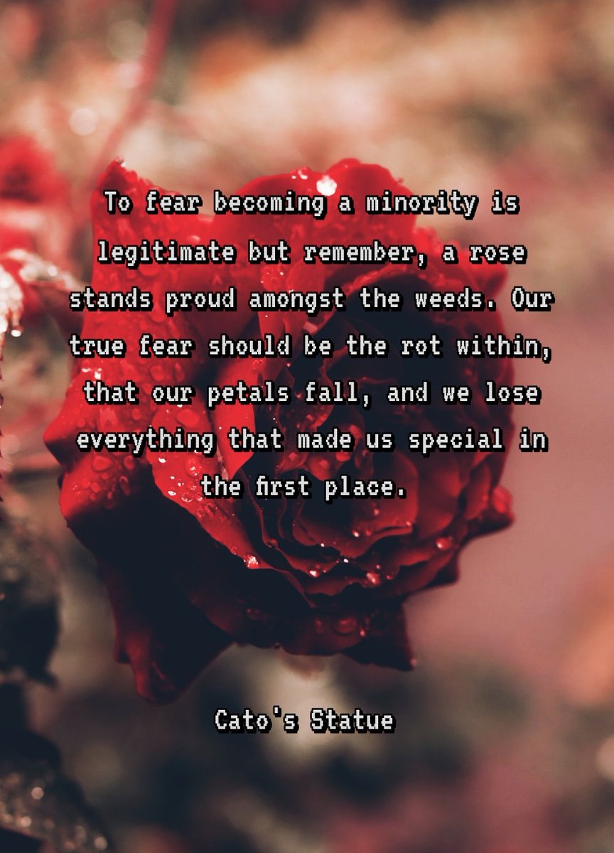 CatoStatue's tweet photo. https://t.co/7ITtW7qwt5