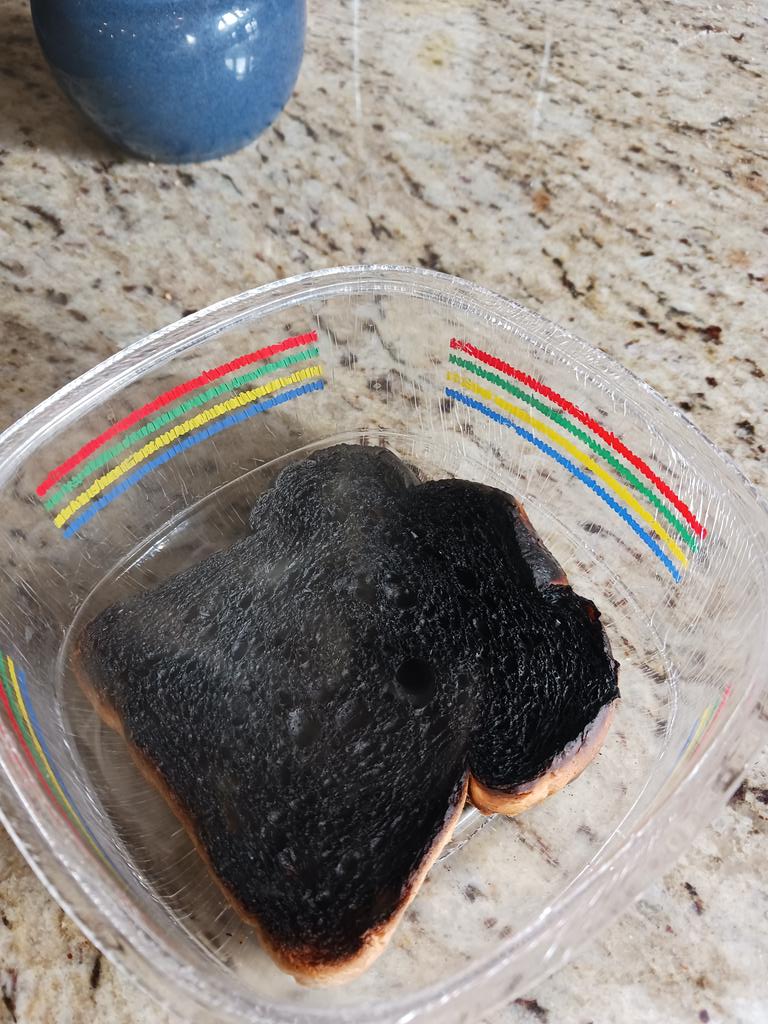 herefordcows's tweet photo. When the bulls decide to wreck things and the toaster doesn't pop. 🙄 #isitmonday https://t.co/hUblPKy5bU