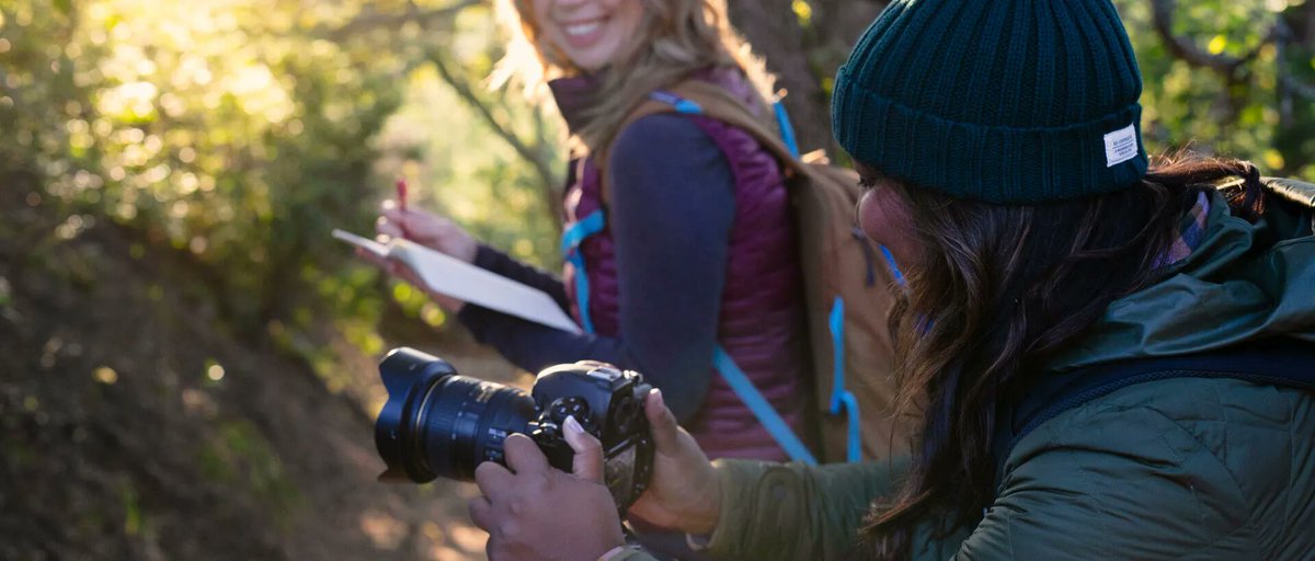 Hidden Compass tweet media