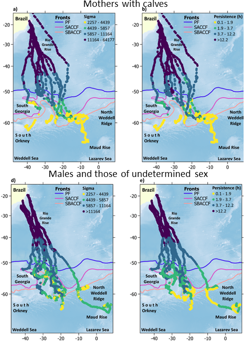 Luis Bedriñana Romano🌳 tweet media